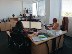 Payroll | Accounting | Taxes